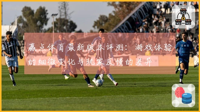 赢点体育最新版本评测：游戏体验的细微变化与玩家反馈的差异