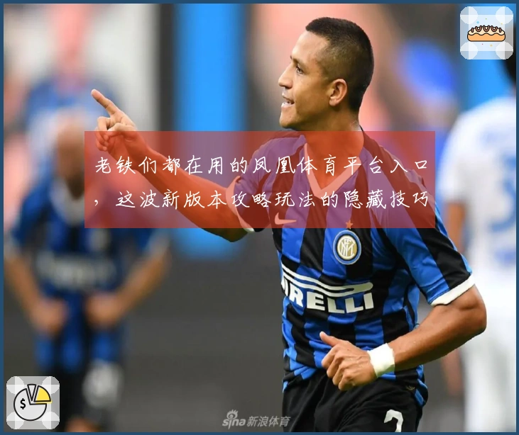 老铁们都在用的凤凰体育平台入口，这波新版本攻略玩法的隐藏技巧你肯定不知道！