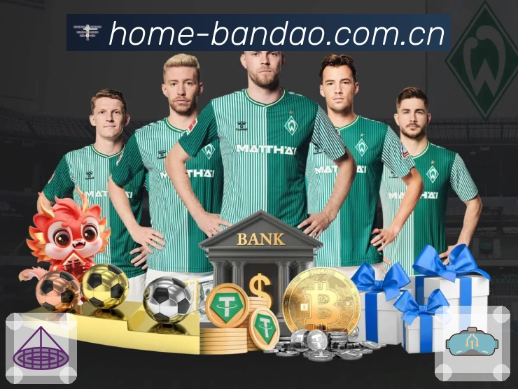 半岛体育易用支持